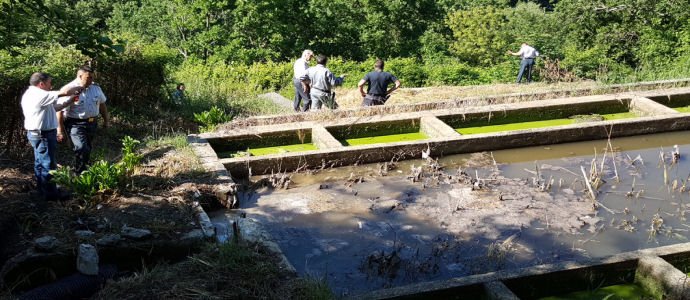 Fogne scaricavano in un torrente: sequestrati i depuratori a Scigliano