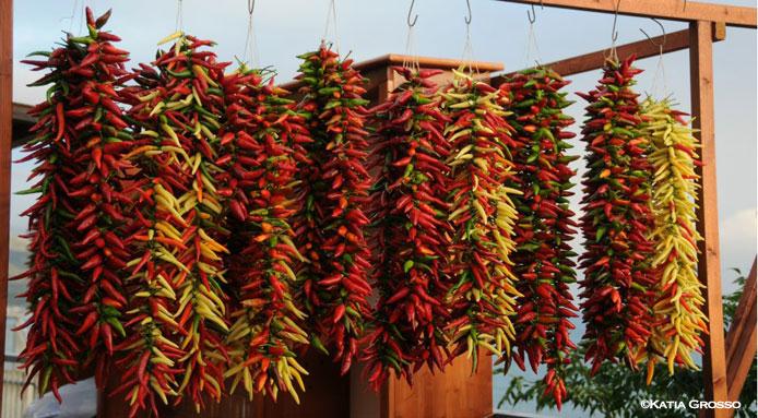 Al via il “Peperoncino Festival”, Irto: “La Calabria che funziona”