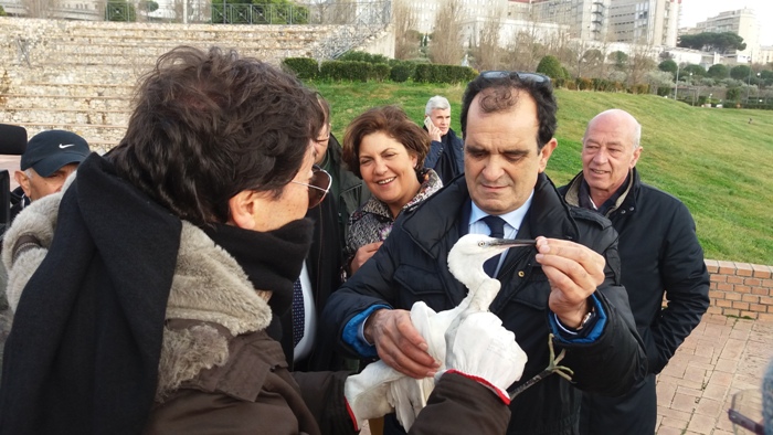 Liberate due poiane e una garzetta. Il plauso del presidente della Provincia di Catanzaro, Enzo Bruno, al Cras