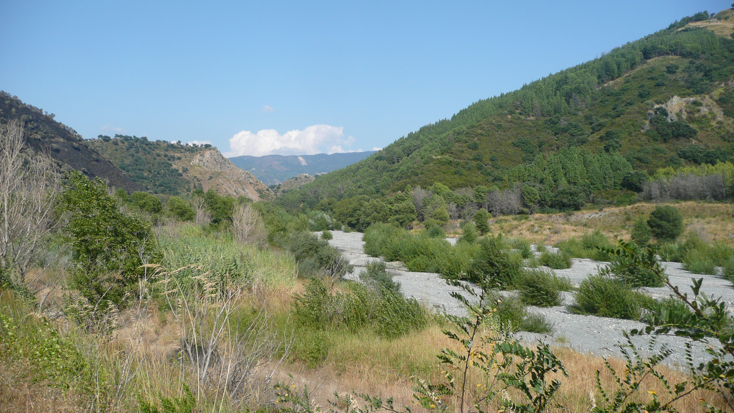 In Commissione Ambiente l’inquinamento del fiume Oliva