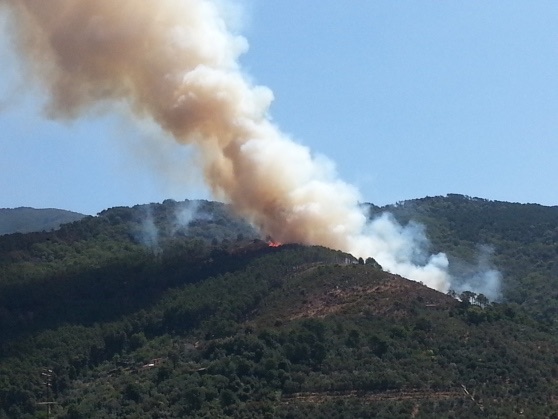 In fiamme a Lamezia la pineta di Sant’Antonio