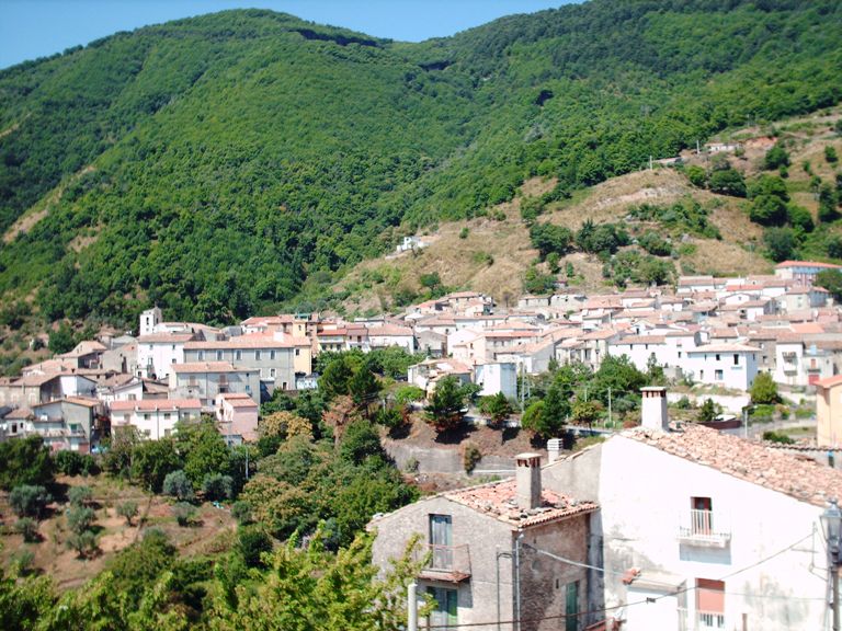 Incendi: 70enne denunciato nel Cosentino, appiccava roghi