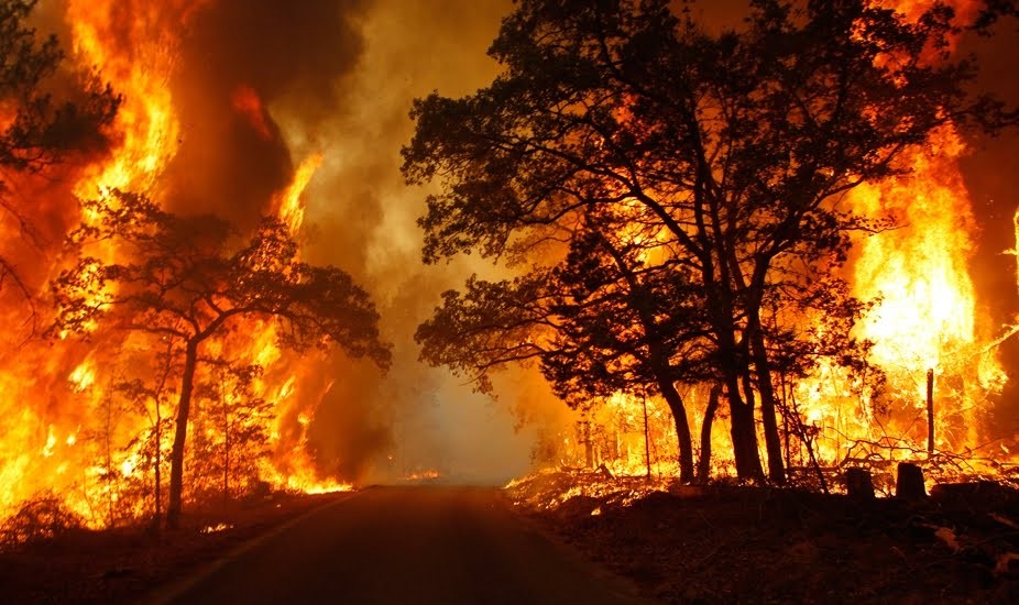 Incendi: forum del Cai a salvaguardia del patrimonio boschivo