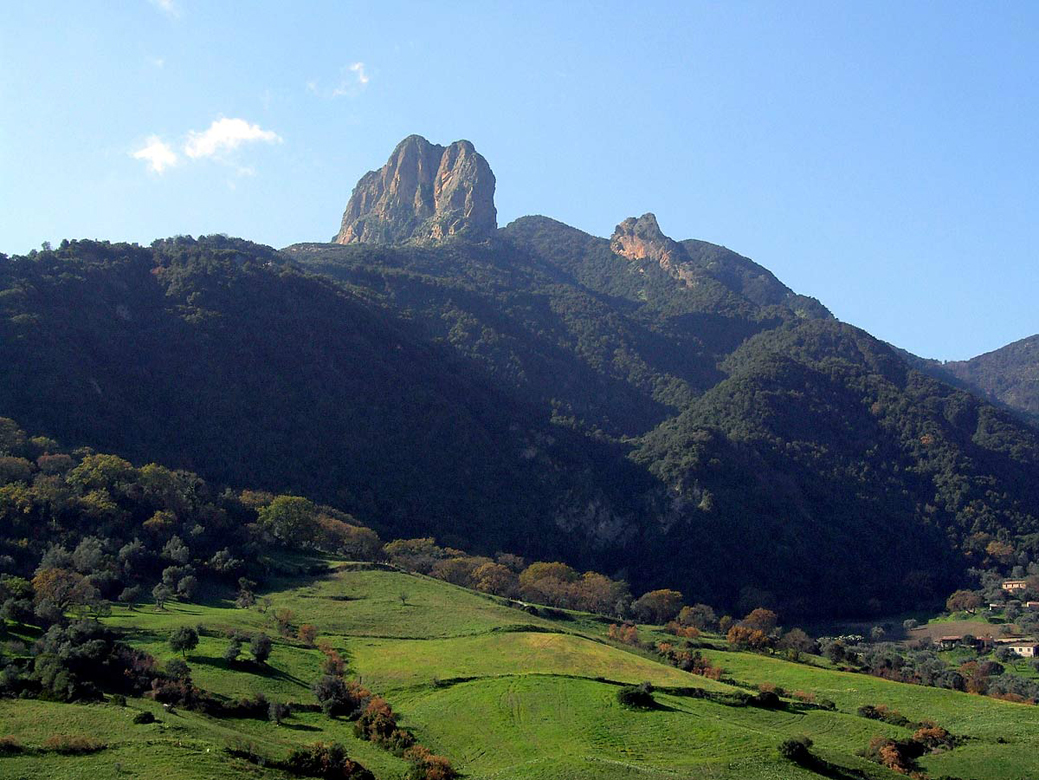 Trovato sano e salvo il giovane disperso in Aspromonte