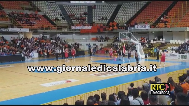 Basket, Paolo Tripodi nuovo Ds della Viola Reggio