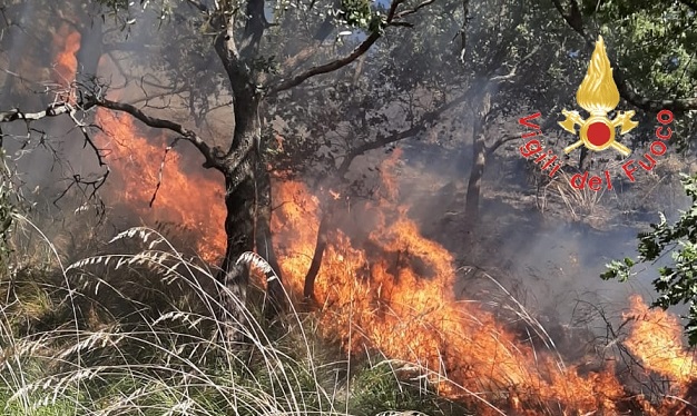 Catanzaro, incendio in località Calivello