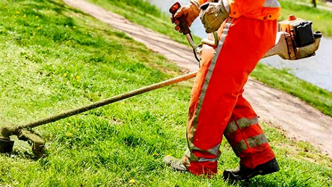 Catanzaro, obiettivo terminare lavori di decespugliamento entro l’inizio dell’anno scolastico