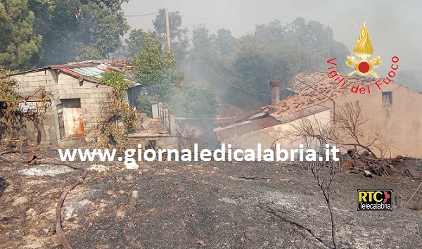 Gimigliano, incendio in località Trearie-Corbino (video)