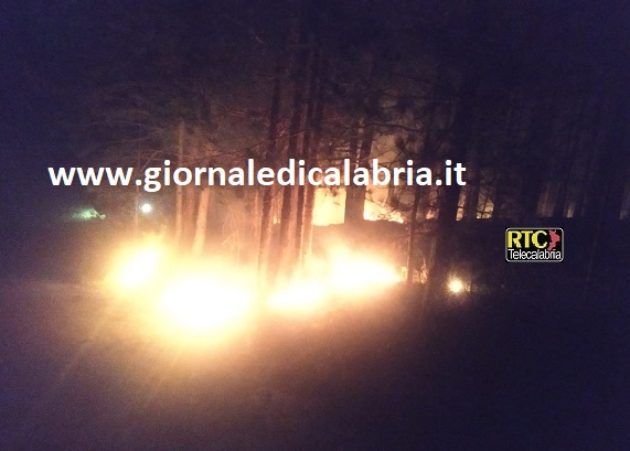 Sorbo San Basile, incendio in località Colle Castagna nella serata di ieri