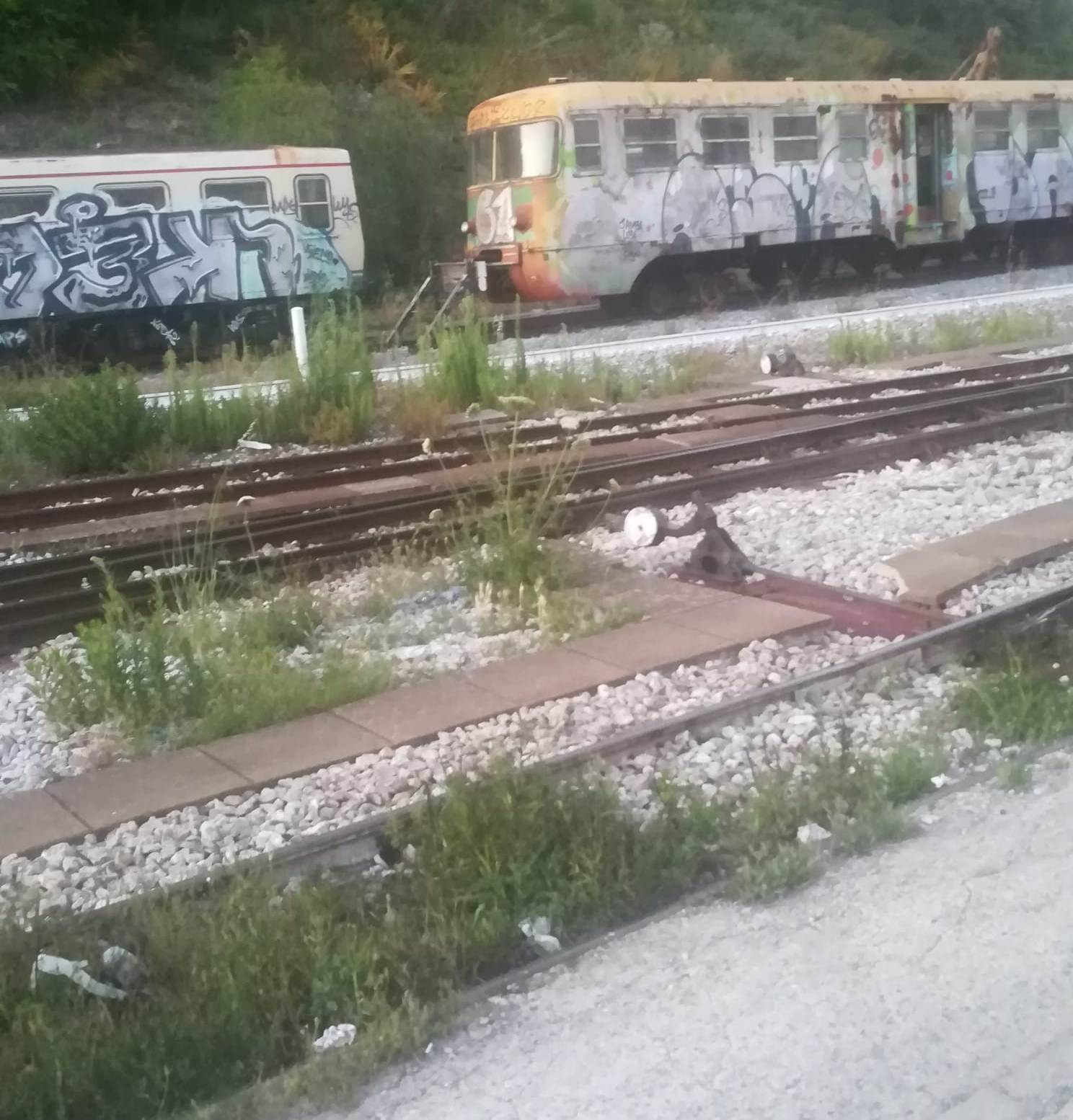 Ferrovie della Calabria, Angotti e Lostumbo: “L’azienda si occupi anche del territorio catanzarese”