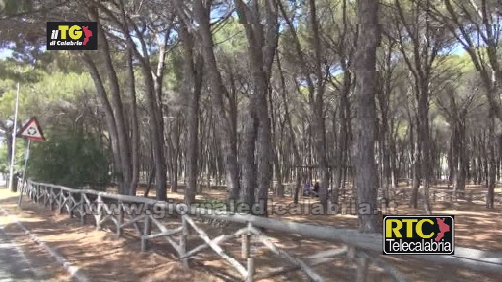 Catanzaro, vietato l’accesso alla pineta di Giovino nella giornata di Ferragosto