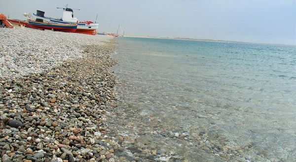 Comitato Pescatori Calabria: “Tutelare il mare ed i pescatori”