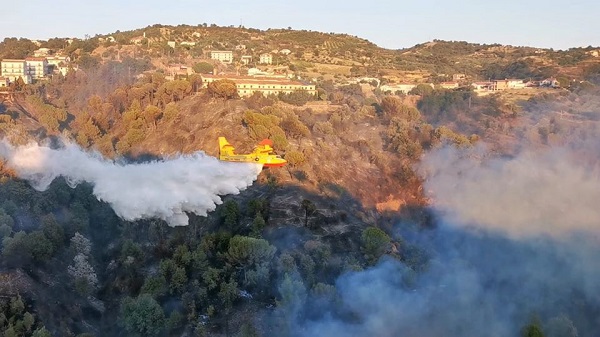 Ben 119 incendi nella giornata di giovedì in Calabria, duro lavoro di Calabria Verde