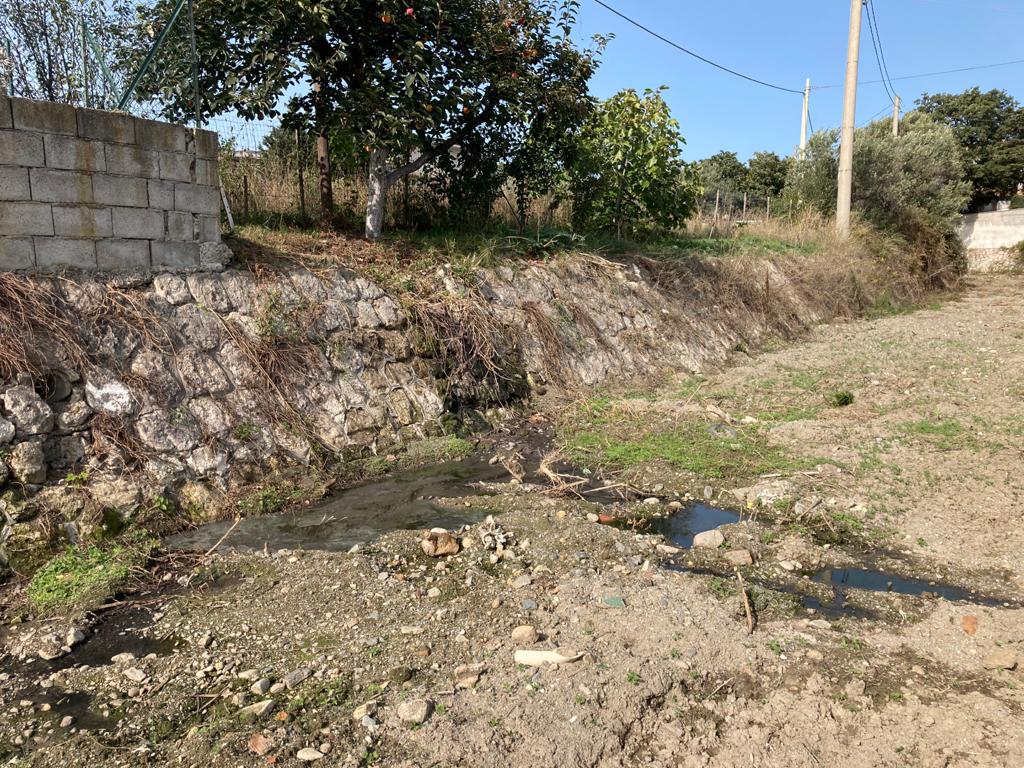 Catanzaro, “fogna a cielo aperto nel quartiere Cava. Liquami, animali ed insetti di ogni tipo”