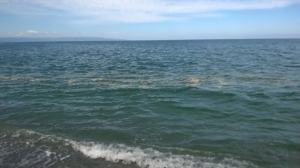 Continua la battaglia per la costa tirrenica cosentina