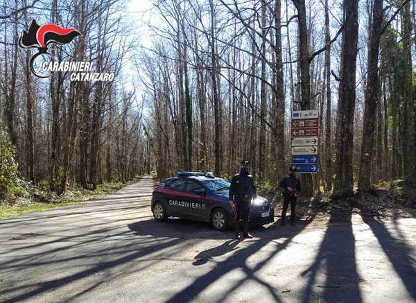 Un arresto dei carabinieri di Girifalco per furto di legname