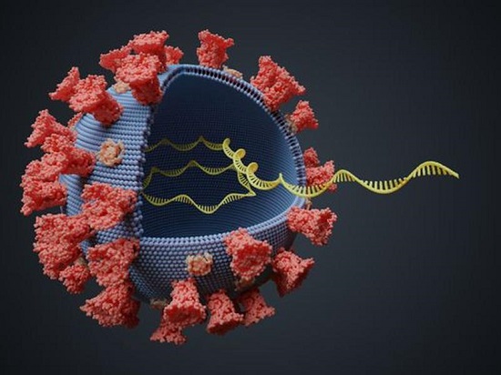 Covid, al via la verifica sulle varianti del virus