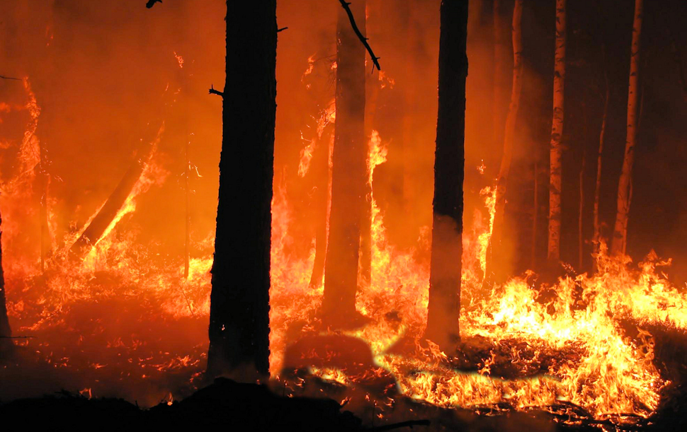 Appicca fuoco a sterpaglie ma perde il controllo delle fiamme: arrestato