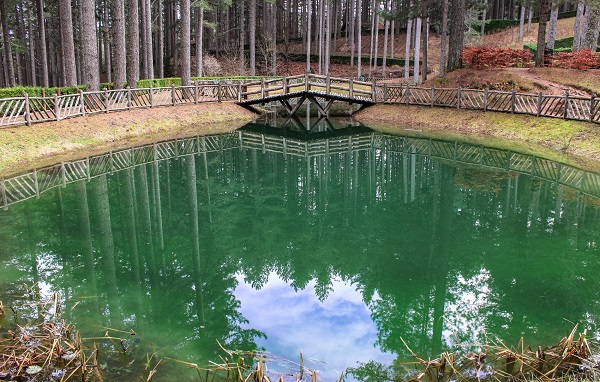 La “Notte Bianca della Biodiversità” in Sila promossa dai Carabinieri tutela Biodiversità