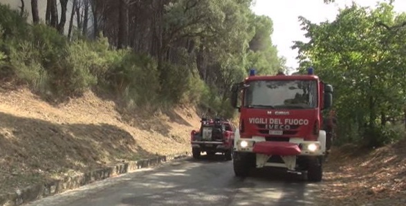 Catanzaro, domato l’incendio nella pineta di Siano (VIDEO)