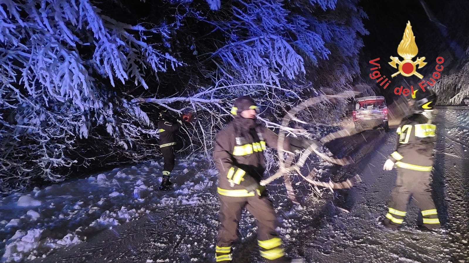 Maltempo/ Alberi caduti sulla “Silana-Crotonese”, personale Anas e Vigili del fuoco al lavoro