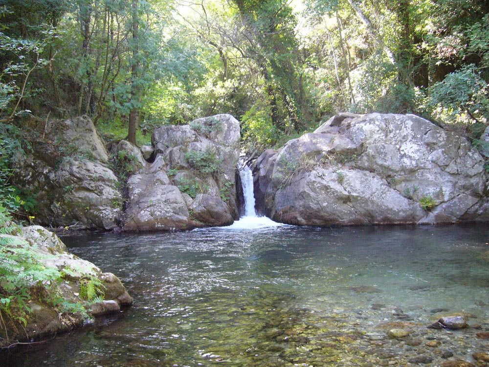 Ripristinato dalla Regione Calabria il contributo per la riserva di Valli Cupe