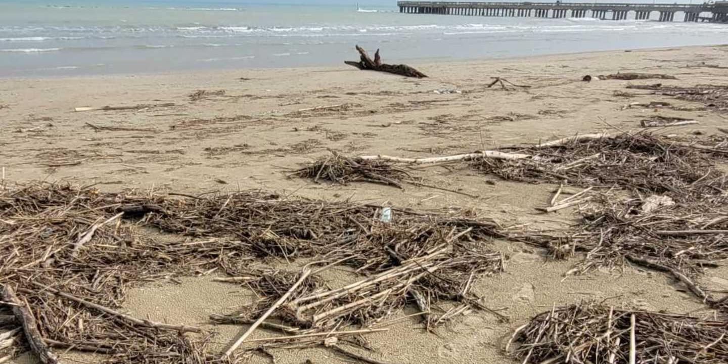 Ambiente, domenica 6 febbraio “Fare Verde” pulirà la spiaggia di Catanzaro