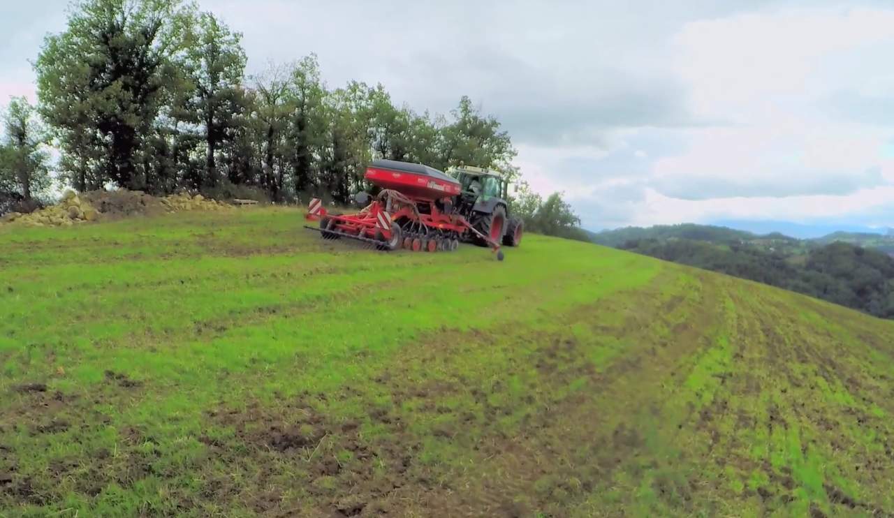 Bando Innovazione, 5 milioni per le aziende agricole calabresi. Gallo. “Interventia sostegno della competitività”