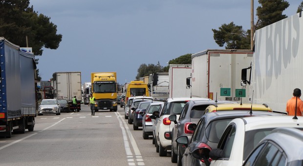 Coldiretti: “Con il blocco dei trasporti gli scaffali rimarranno vuoti”