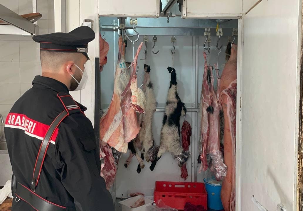 I carabinieri sequestrano 143 kg di carne e applicano sanzioni a Brancaleone e a Bianco