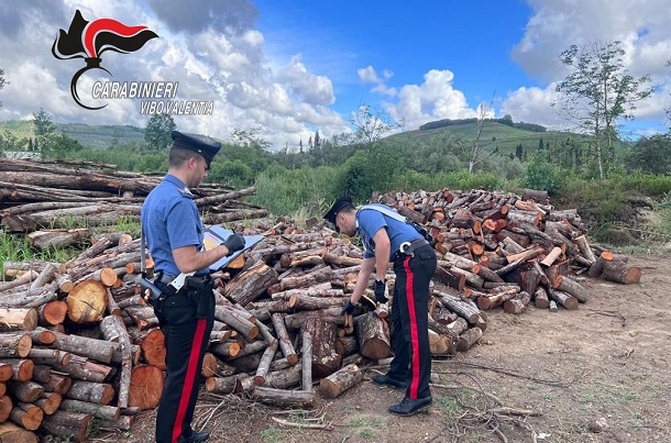 I carabinieri scoprono i presunti autori di un furto di legname a Soriano. Due persone segnalate all’Autorità Giudiziaria