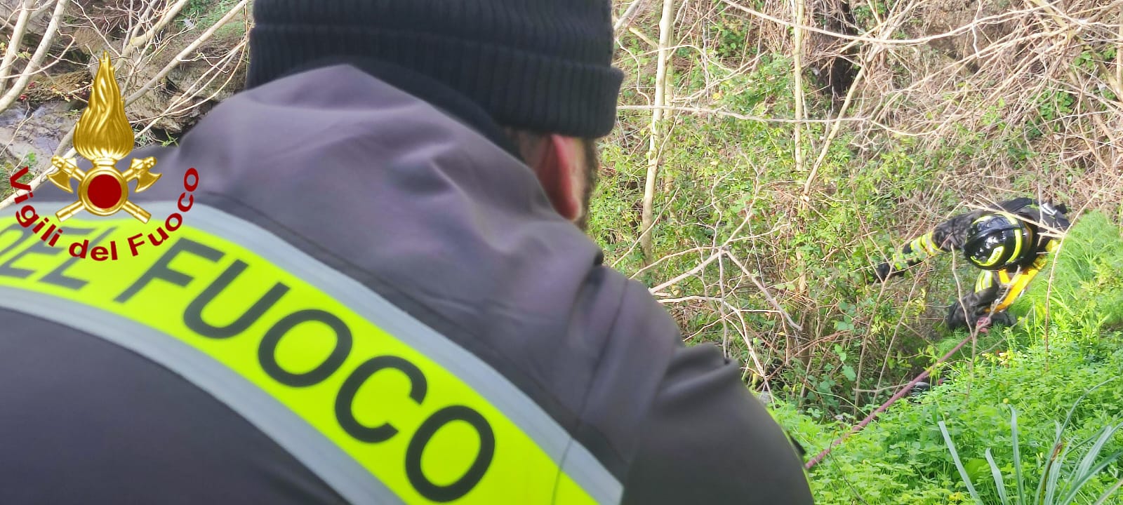 Isola Capo Rizzuto, recuperato un cane scivolato in un dirupo a Le Castella