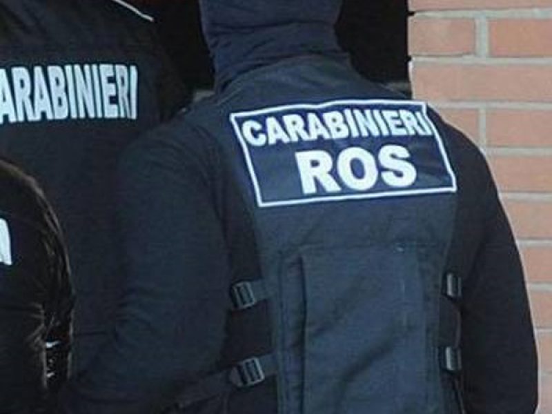 Ndrangheta, operazione dei Ros di Vibo: 8 arresti e 3 misure interdittive