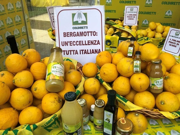 Il Calabria il 90% della produzione mondiale di bergamotto