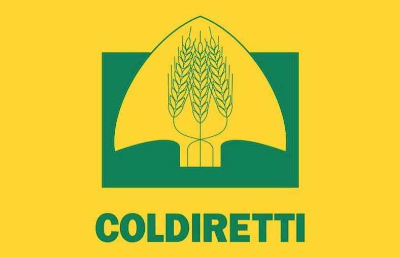 Coldiretti: “Triplica l’olio italiano nel mondo”