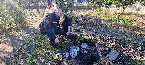 Sellia Marina/ Hashish in giardino, arrestato un giovane