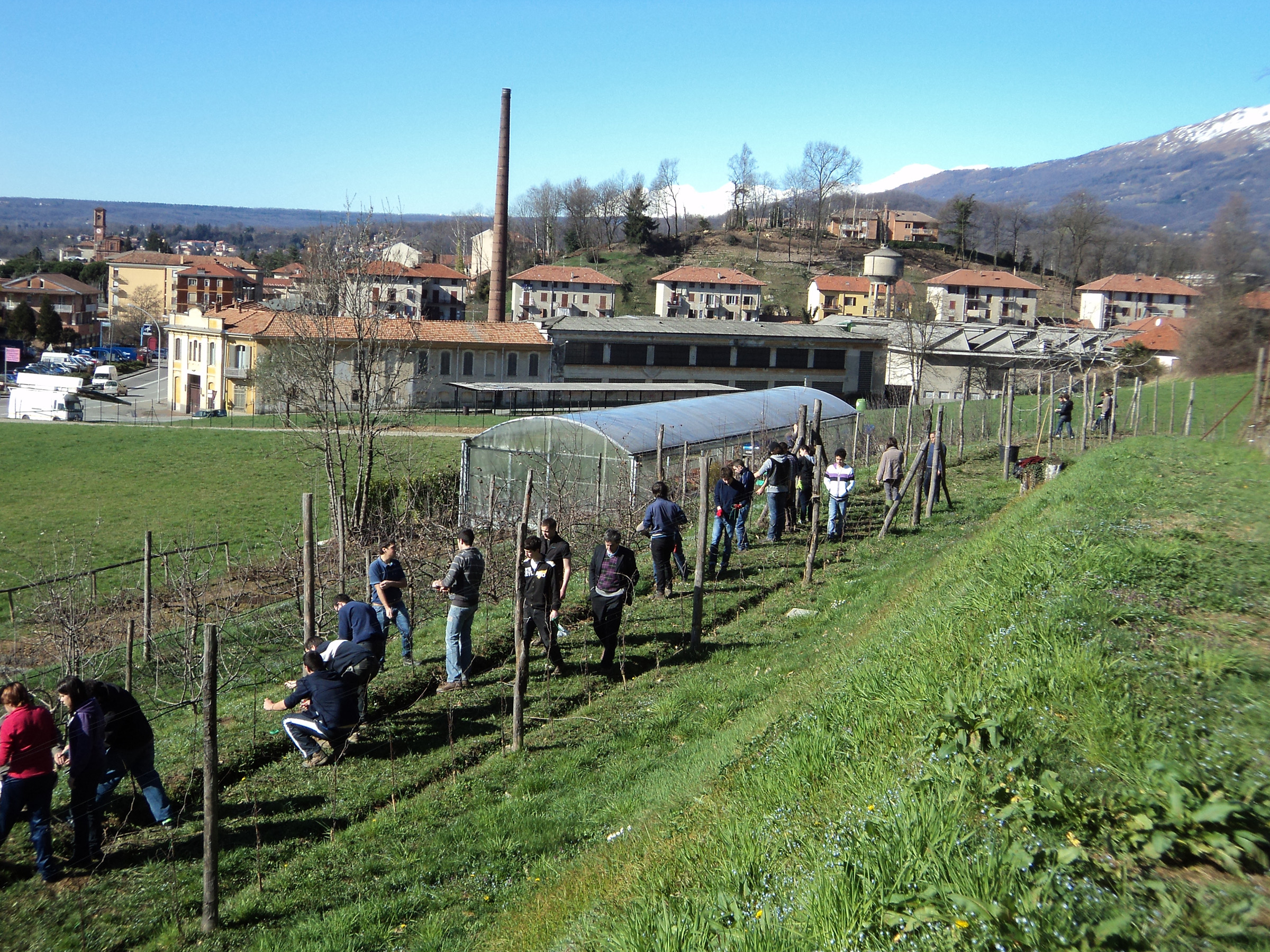 Dalla Regione via libera ai bandi per gli istituti agrari