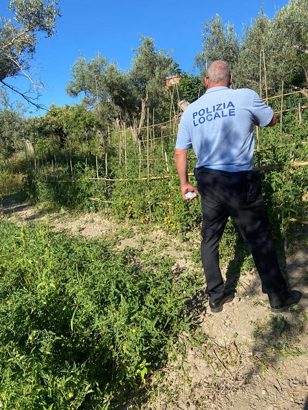 “Ladri di acqua”, 16 denunce a Catanzaro