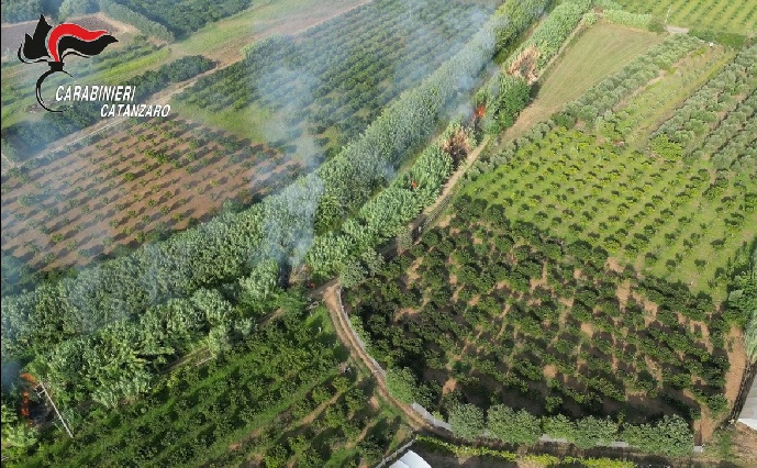 Curinga, sorpreso da un drone mentre appicca incendi: arrestato presunto piromane