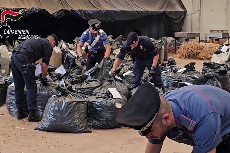 Maxi sequestro di cannabis nell’area industriale del porto di Gioia Tauro