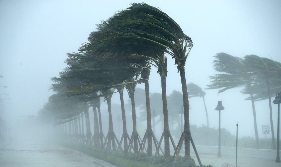 Tromba d’aria a Corigliano Rossano, un albero finisce su un’auto in sosta