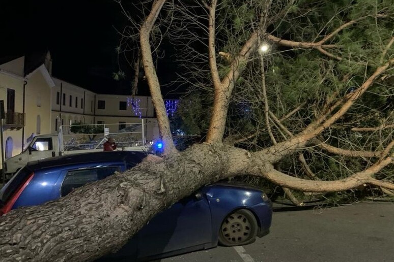 Cassano allo Ionio, un grosso albero cade su un’auto per forti raffiche di vento