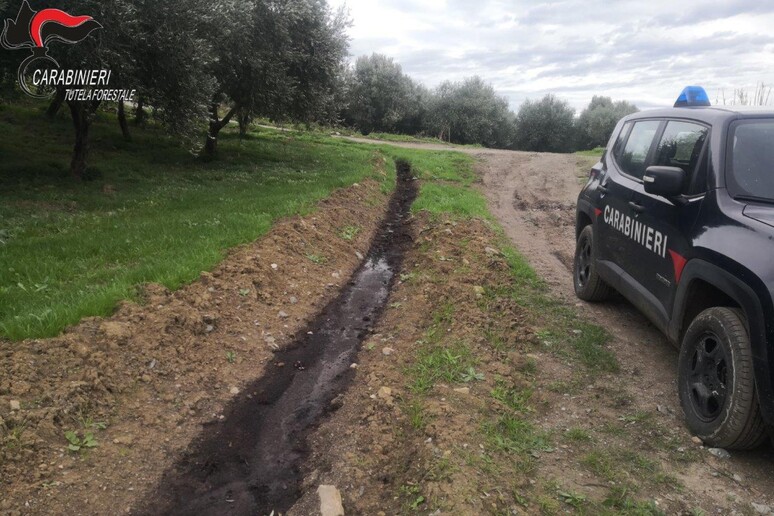 Terravecchia, smaltimento illecito di acque di vegetazione: una denuncia