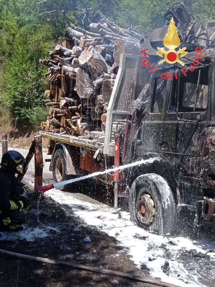 Cardinale, in fiamme un autocarro carico di tronchi: salvo il conducente